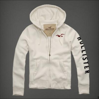 Hollister Men Hoodies-117